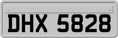 DHX5828