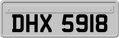 DHX5918