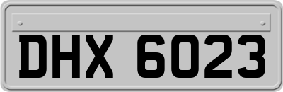 DHX6023
