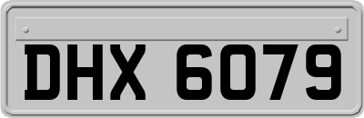 DHX6079