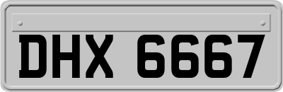 DHX6667