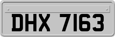 DHX7163