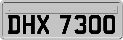 DHX7300