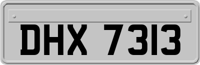DHX7313
