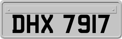 DHX7917