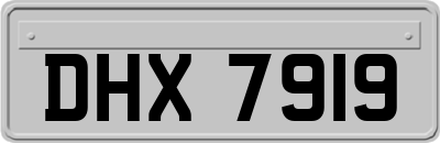 DHX7919