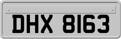 DHX8163