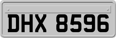 DHX8596