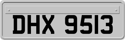 DHX9513