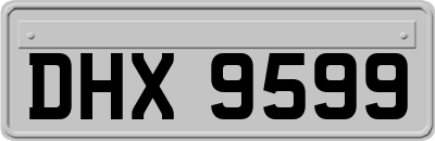 DHX9599