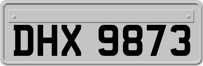 DHX9873