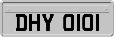 DHY0101