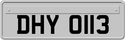 DHY0113