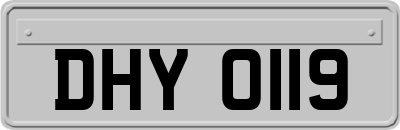 DHY0119