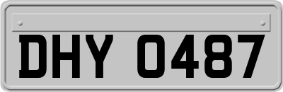 DHY0487