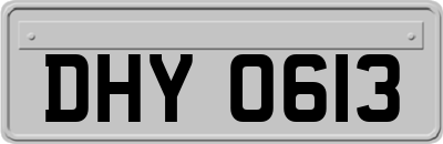 DHY0613