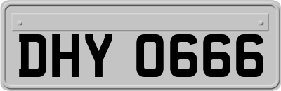 DHY0666