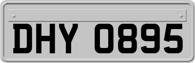DHY0895