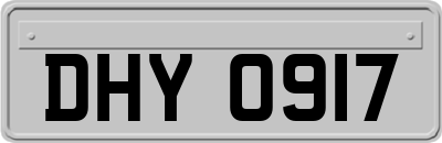 DHY0917