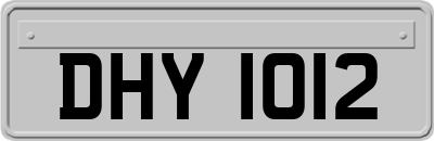 DHY1012