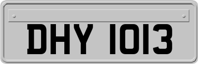 DHY1013