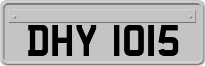 DHY1015