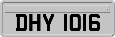 DHY1016