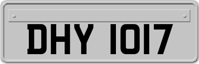 DHY1017