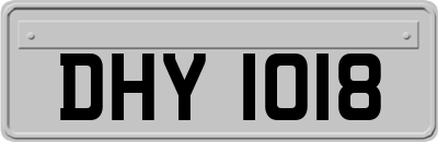 DHY1018