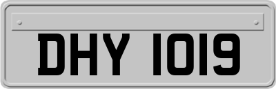 DHY1019