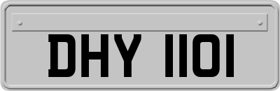 DHY1101