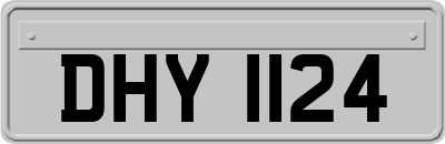 DHY1124