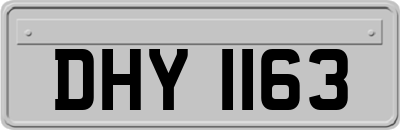 DHY1163