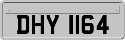 DHY1164