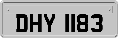 DHY1183