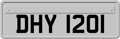 DHY1201