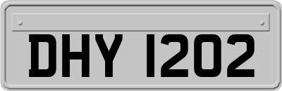 DHY1202