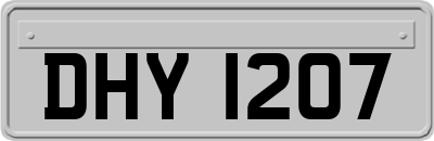 DHY1207