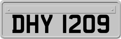 DHY1209