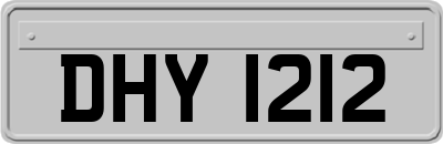 DHY1212