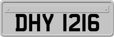 DHY1216