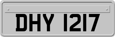 DHY1217