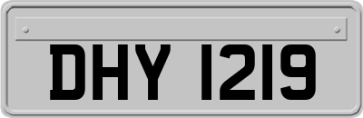 DHY1219
