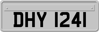 DHY1241