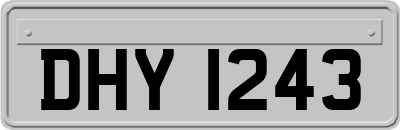 DHY1243