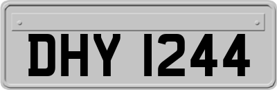 DHY1244
