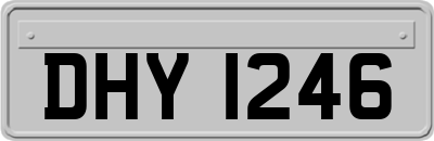 DHY1246
