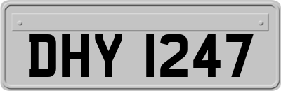 DHY1247