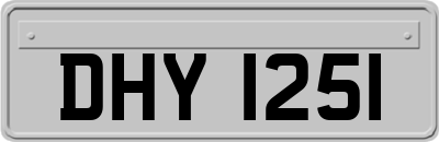 DHY1251