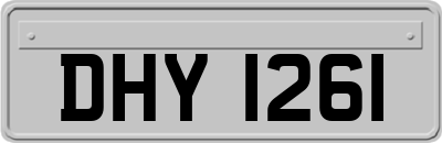 DHY1261
